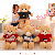 Cute Teddy Bear with Sweater,AllCute.ca