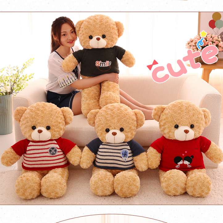 Cute Teddy Bear with Sweater,AllCute.ca