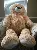 Jumbo Light Brown Teddy Bear 53 Inches with Free shipping,AllCute.ca