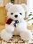 Rose teddy bear plush toy for girls Valentines Day gift,AllCute.ca