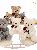 Rose teddy bear plush toy for girls Valentines Day gift,AllCute.ca