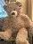 Jumbo Brown Teddy Bear 53 Inches with  Free shipping,AllCute.ca