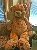 Jumbo Brown Teddy Bear 72 Inches  with Free shipping,AllCute.ca