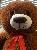 Jumbo Deep Brown Teddy Bear 53 Inches with Free shipping,AllCute.ca