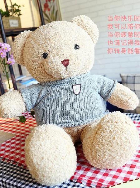 Good Quality Teddy Bear with Sweater, Canadian Online Jewelry,Accessories & Plush Toy Store