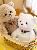 Cute Little Teddy Bear Plush Doll Toy for Valentine's Day or Birthday Gift 28cm,AllCute.ca
