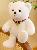 Cute Little Teddy Bear Plush Doll Toy for Valentine's Day or Birthday Gift 28cm,AllCute.ca
