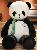 Giant Jumbo Plush Panda stuffed animal,AllCute.ca