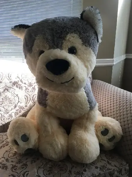 Jumbo Sitting Husky  dog 32 Inch high, Canadian Online Jewelry,Accessories & Plush Toy Store