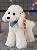 Teddy dog plush toy poodle doll,AllCute.ca
